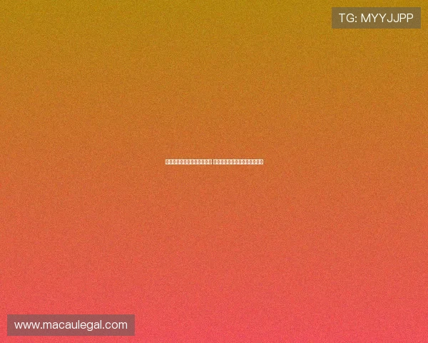 美国轮椅篮球队夺冠再创历史 彰显团队精神与坚持不懈的力量